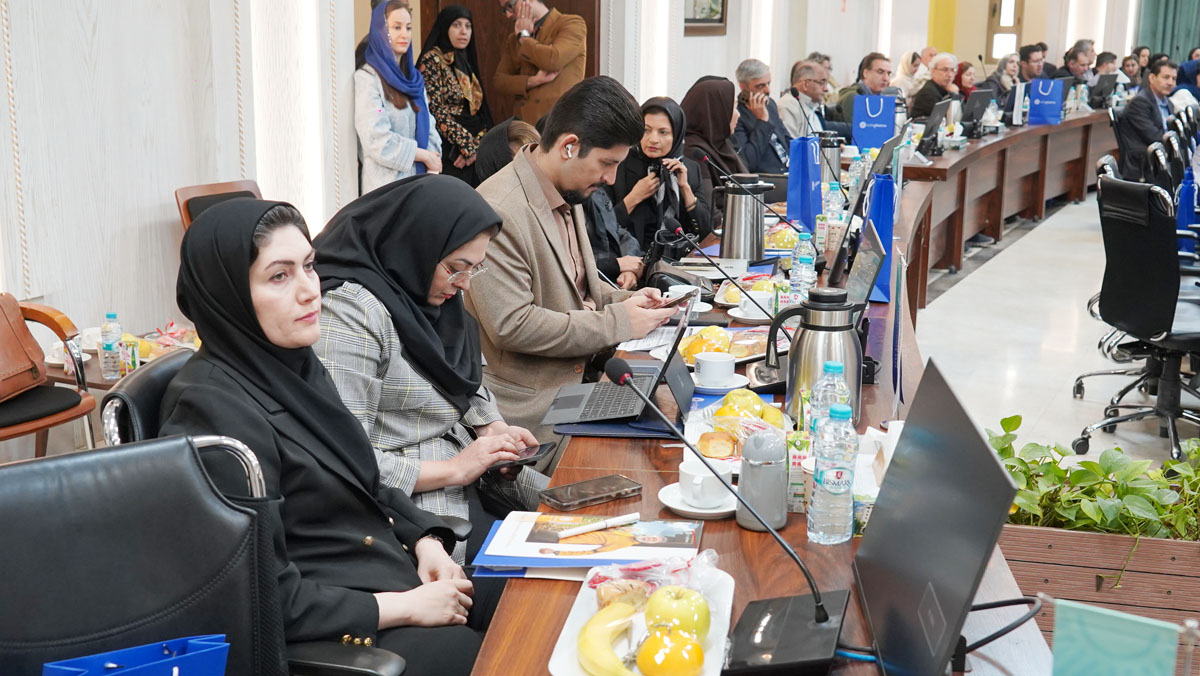 DSC03384